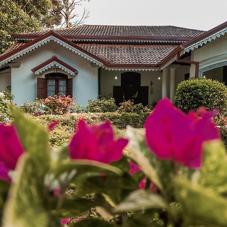 Kithulvilla Holiday Bungalow Kitulgala Εξωτερικό φωτογραφία